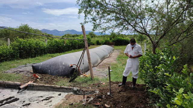 proyecto de generación de biogás en Colombia